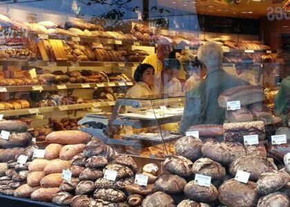 blog 4
